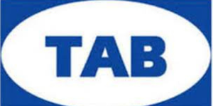 Tab gıda Burgerking